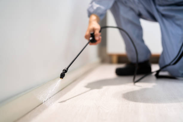 Rodent Entry Point Assessment in Harlem Heights
