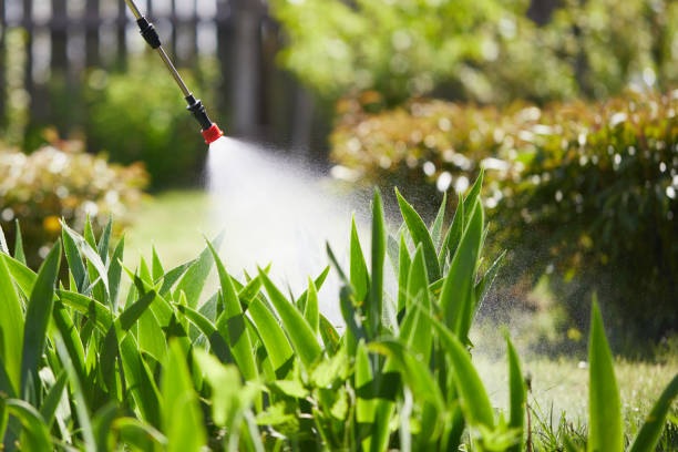 Tamper-Resistant Bait Stations for Rodents in Harlem Heights