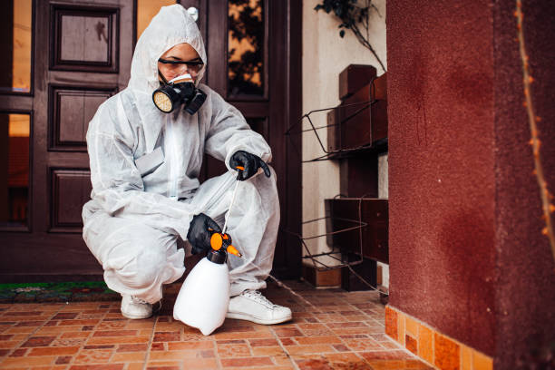Attic and Crawl Space Rodent Treatment in Harlem Heights